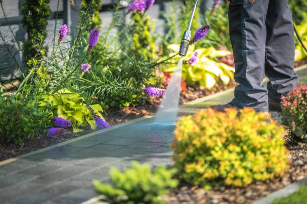Best Sidewalk and Walkway Cleaning  in Mont Clare, PA